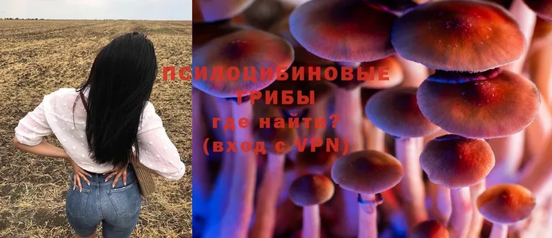 как найти   Калачинск  мега зеркало  Псилоцибиновые грибы MAGIC MUSHROOMS 